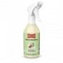SHAMPOO CAVALLI DELICATO