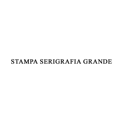 STAMPA SERIGRAFIA GRANDE 20X30