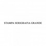 STAMPA SERIGRAFIA GRANDE 20X30