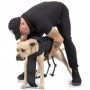 PETTORINA COMBAT-DOG VERDE
