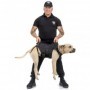 PETTORINA COMBAT-DOG ARANCIO